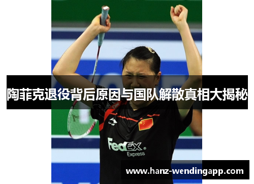 陶菲克退役背后原因与国队解散真相大揭秘