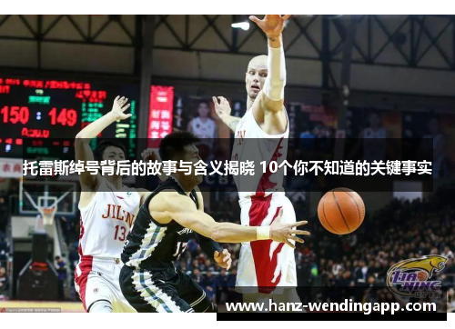 托雷斯绰号背后的故事与含义揭晓 10个你不知道的关键事实